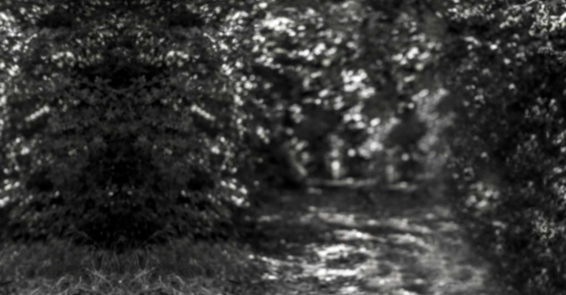 photohintergrund